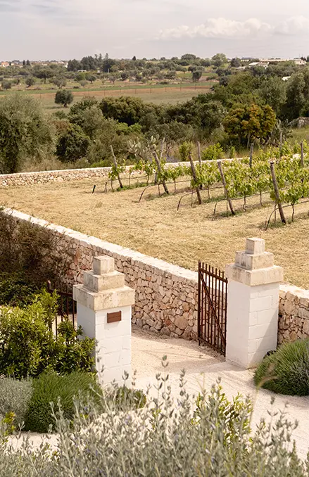 Vivi la masseria