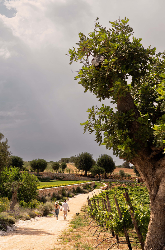 Masseria