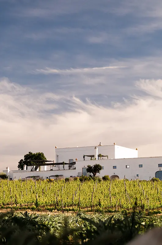Masseria