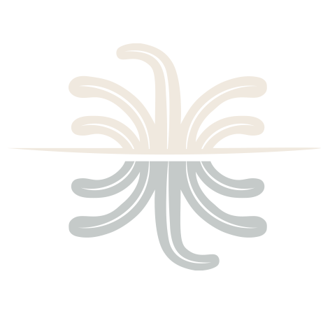 Masseria Auraterræ